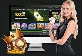 663bet